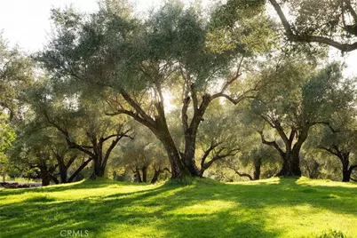 3723 Foothill Boulevard, Oroville, CA 95966 - Photo 64