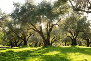 3723 Foothill Blvd, Oroville, CA 95966 - Photo 64