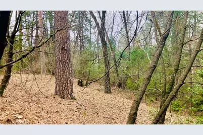 4920 Tippitoe, Forest Ranch, CA 95942 - Photo 12