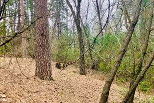 4920 Tippitoe, Forest Ranch, CA 95942 - Photo 12