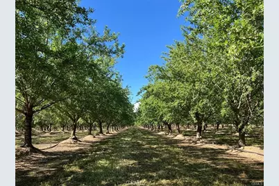 0 Capay Road, Corning, CA 96021 - Photo 2