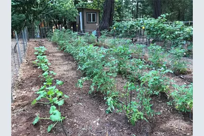 5937 Fern Glenn, Magalia, CA 95954 - Photo 44