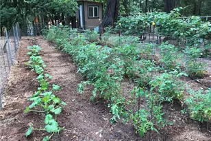 5937 Fern Glenn, Magalia, CA 95954 - Photo 44