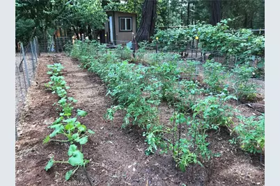 5937 Fern Glenn, Magalia, CA 95954 - Photo 38