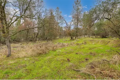 915 Long Bar, Oroville, CA 95966 - Photo 30