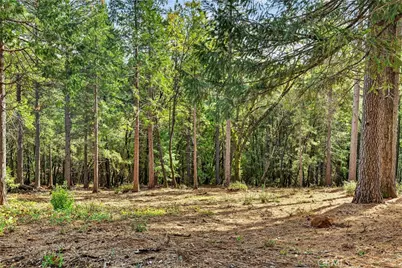 0 Cedar Creek, Forest Ranch, CA 95942 - Photo 1