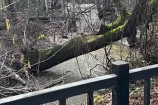 3237 Dry Creek Rd, Butte Valley, CA 95965 - Photo 6