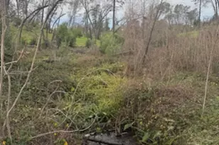 5623 Wilson, Paradise, CA 95969 - Photo 40