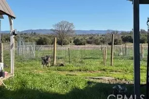 8001 Palermo Honcut, Oroville, CA 95966 - Photo 30