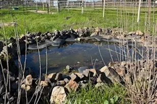 8001 Palermo Honcut, Oroville, CA 95966 - Photo 14