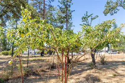 1690 Connell Lane, Paradise, CA 95969 - Photo 26