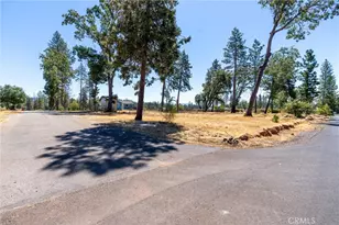 1690 Connell Ln, Paradise, CA 95969 - Photo 38