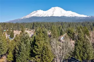 2620 Fryers Way, Mount Shasta, CA 96067 - Photo 38