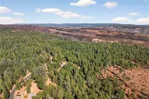 10202 Cohasset Rd, Chico, CA 95973 - Photo 74