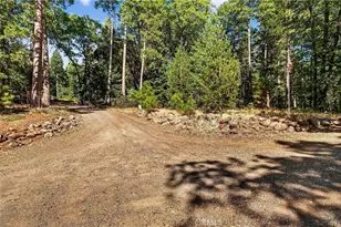 10202 Cohasset Rd, Chico, CA 95973 - Photo 62