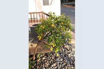 87 Valley View Drive, Paradise, CA 95969 - Photo 60