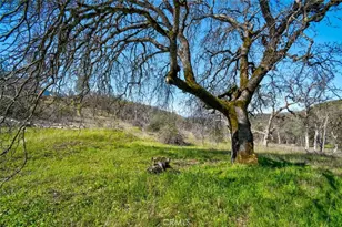 300 Stoney Oaks Blvd, Oroville, CA 95966 - Photo 30