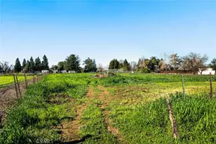 1041 Washington, Willows, CA 95988 - Photo 56