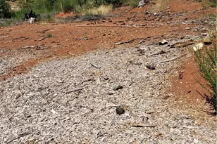 1591 Grey Squirrel, Paradise, CA 95969 - Photo 1