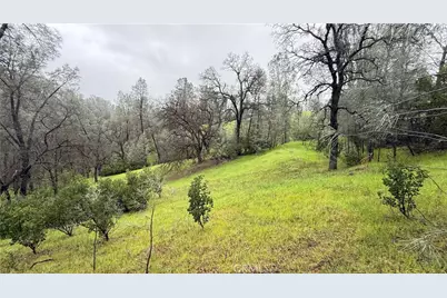 16370 Oakridge Road, Corning, CA 96021 - Photo 1