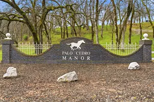 7384 Del Rico Ct, Palo Cedro, CA 96073 - Photo 48