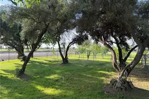 4371 Co Rd H, Orland, CA 95963 - Photo 12