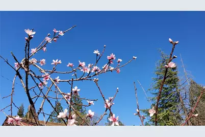 504 Nunneley Road, Paradise, CA 95969 - Photo 10