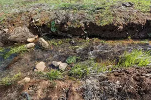 5600 Scottwood Rd, Paradise, CA 95969 - Photo 50