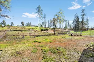 5600 Scottwood Rd, Paradise, CA 95969 - Photo 42