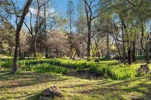 123 Grand Oak Dr, Oroville, CA 95966 - Photo 64