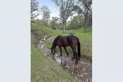 18020 Benson Road, Cottonwood, CA 96022 - Photo 68