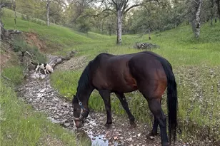 18020 Benson Rd, Cottonwood, CA 96022 - Photo 68