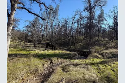 18020 Benson Road, Cottonwood, CA 96022 - Photo 72