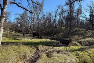 18020 Benson Rd, Cottonwood, CA 96022 - Photo 72