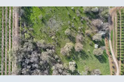 9631 Schroeder Road, Live Oak, CA 95953 - Photo 42