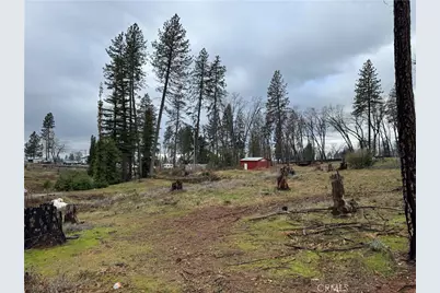 1037 Thomasson Lane, Paradise, CA 95969 - Photo 4