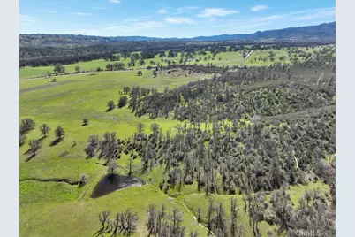 480 County Road 306, Elk Creek, CA 95939 - Photo 44