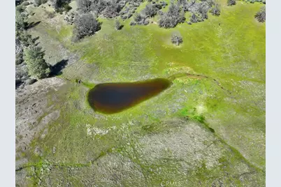 480 County Road 306, Elk Creek, CA 95939 - Photo 42