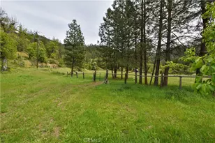 30834 State Hwy 96, Horse Creek, CA 96050 - Photo 16