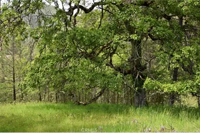 30834 State Hwy 96, Horse Creek, CA 96050 - Photo 18