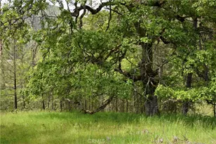30834 State Hwy 96, Horse Creek, CA 96050 - Photo 18
