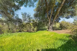 378 Picholine Way, Chico, CA 95928 - Photo 36