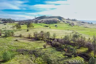 2920 Clark, Butte Valley, CA 95965 - Photo 24