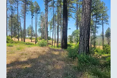 6649 Lincoln, Paradise, CA 95969 - Photo 8