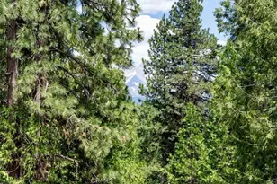 5022 Elderberry, Weed, CA 96094 - Photo 22
