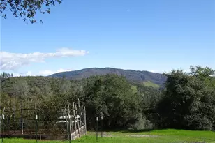 240 Rich Gulch, Yankee Hill, CA 95965 - Photo 14