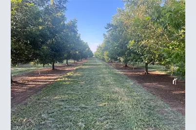 14450 Meridian Road, Chico, CA 95973 - Photo 18