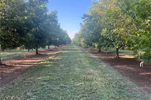 14450 Meridian Rd, Chico, CA 95973 - Photo 18