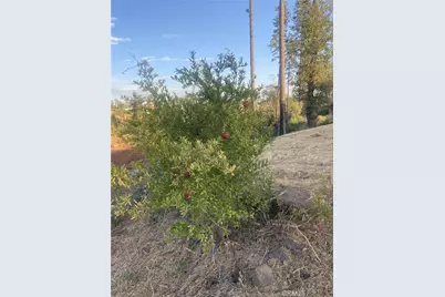 5640 Gramercy, Paradise, CA 95969 - Photo 2