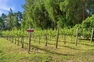 9343 Stanford Ln, Durham, CA 95938 - Photo 4